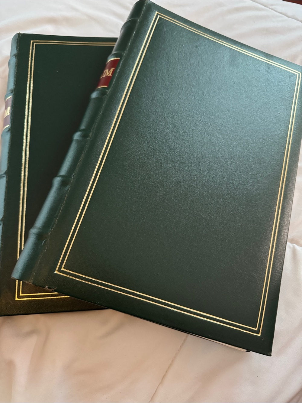 Lot of 2 Pioneer ST-400 3-Ring 4x6 Photo Album Hunter Green